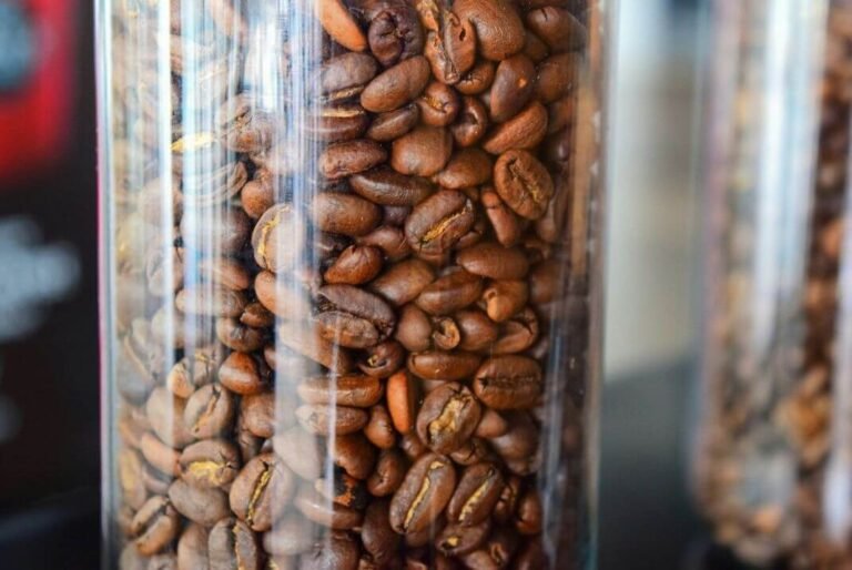 Como armazenar café: O guia definitivo para conservar o grão por mais tempo